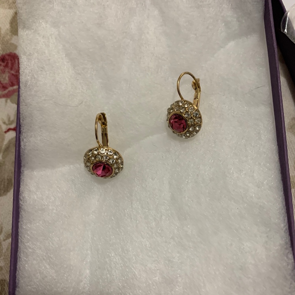 Elegant earrings